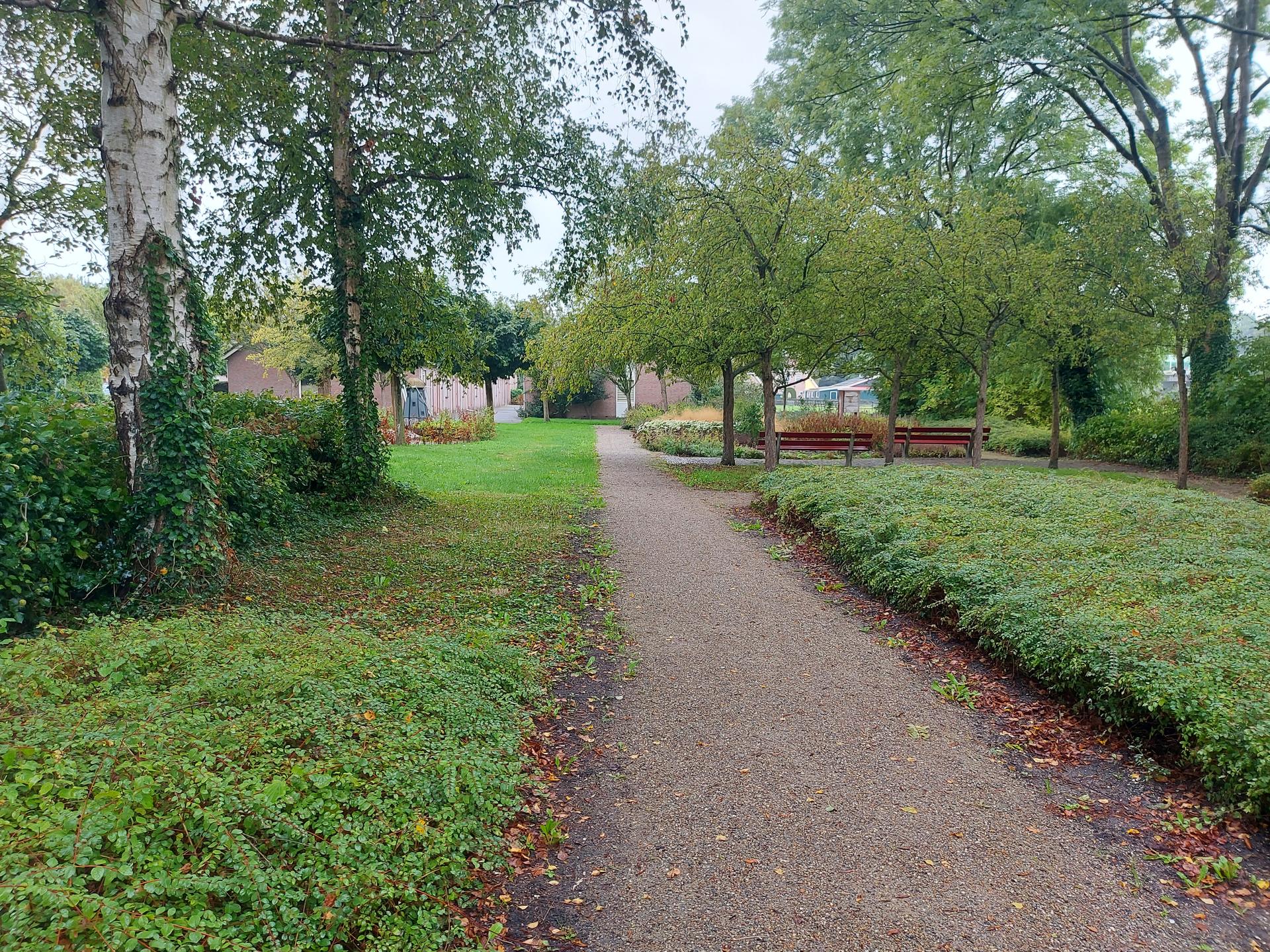 Zuiderhof (2)