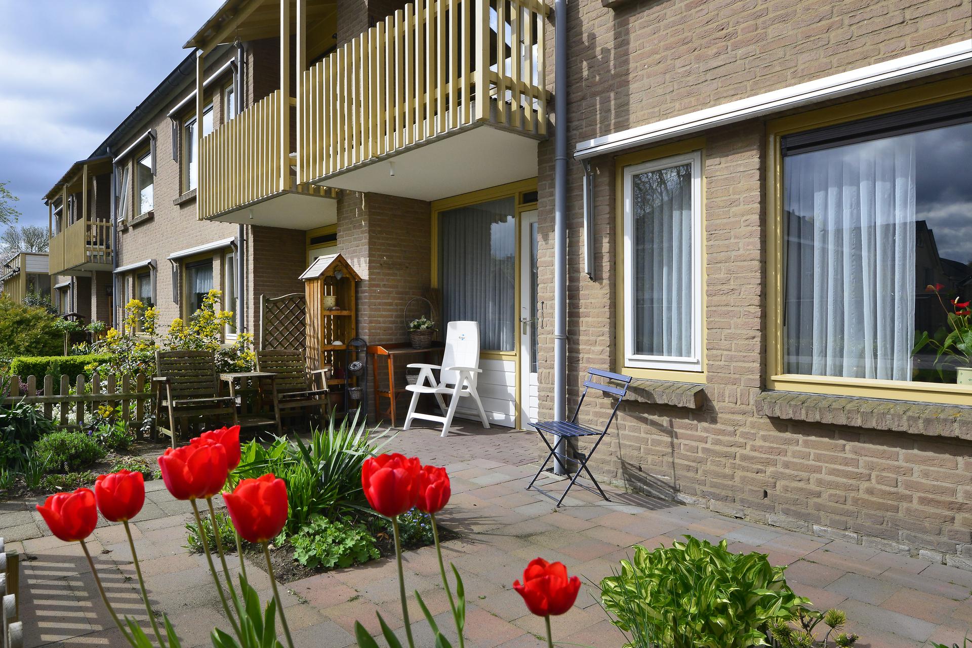 Anholtskamp - Markelo - tuin bewoner