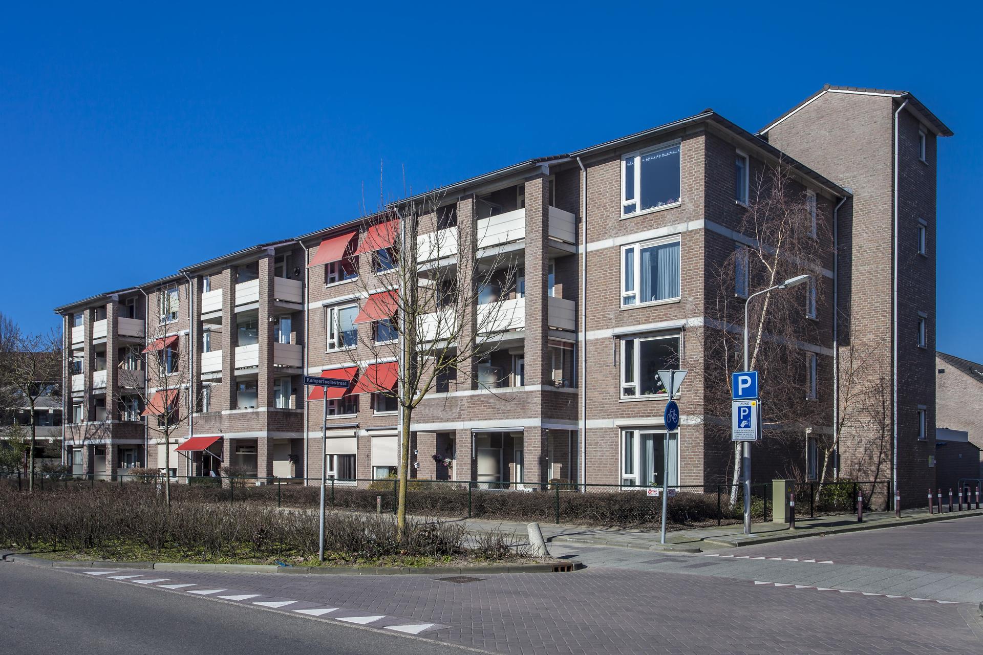 Kamperfoeliestraat - Oss