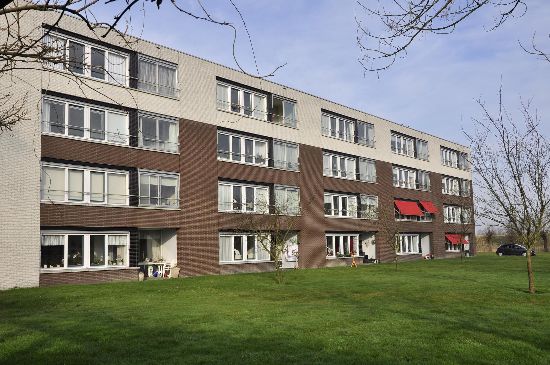 Damsterheerd - Appingedam (1)