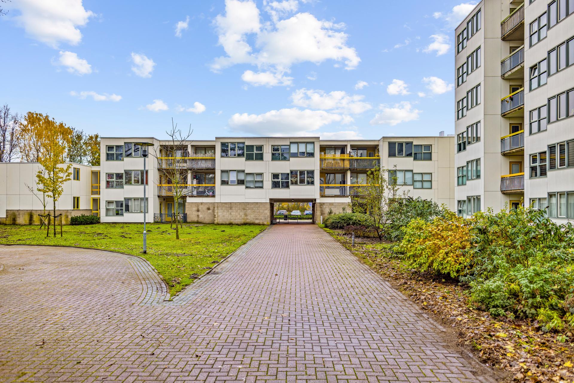 Louweshoek - Amsterdam (3)