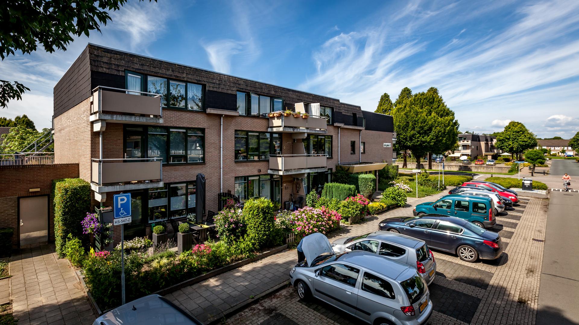 De Geer I - Duiven (1)
