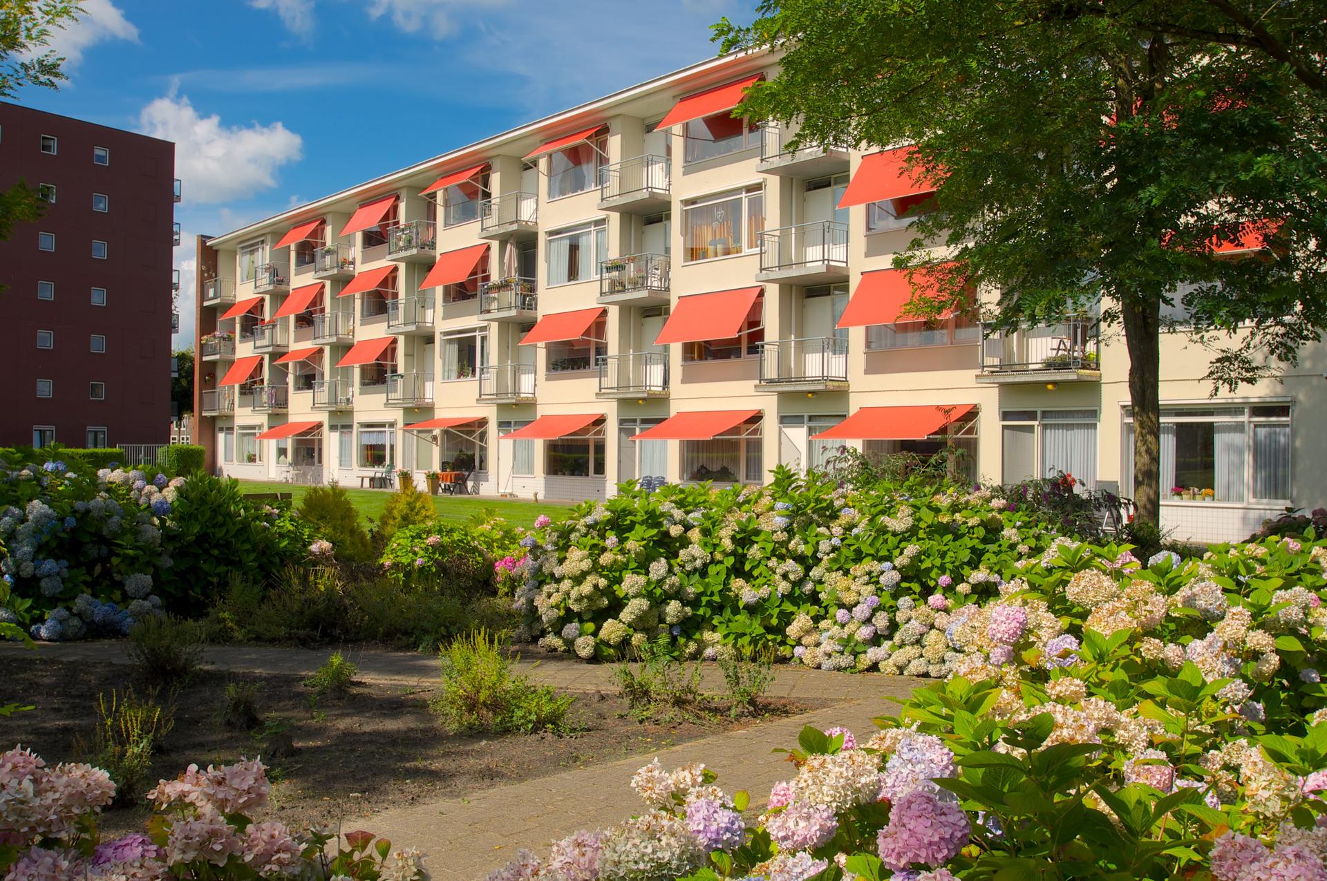 Hamrikheem - Groningen (1)