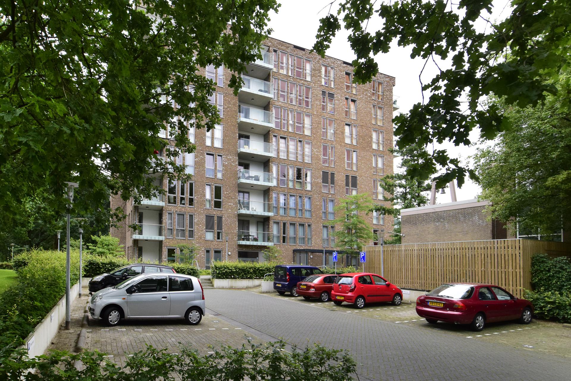 Ruitersbos - Breda (2)