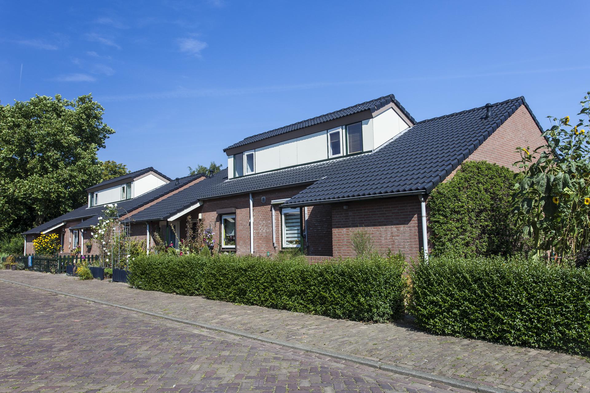 Dirk van Meerhemgaarde - Oijen