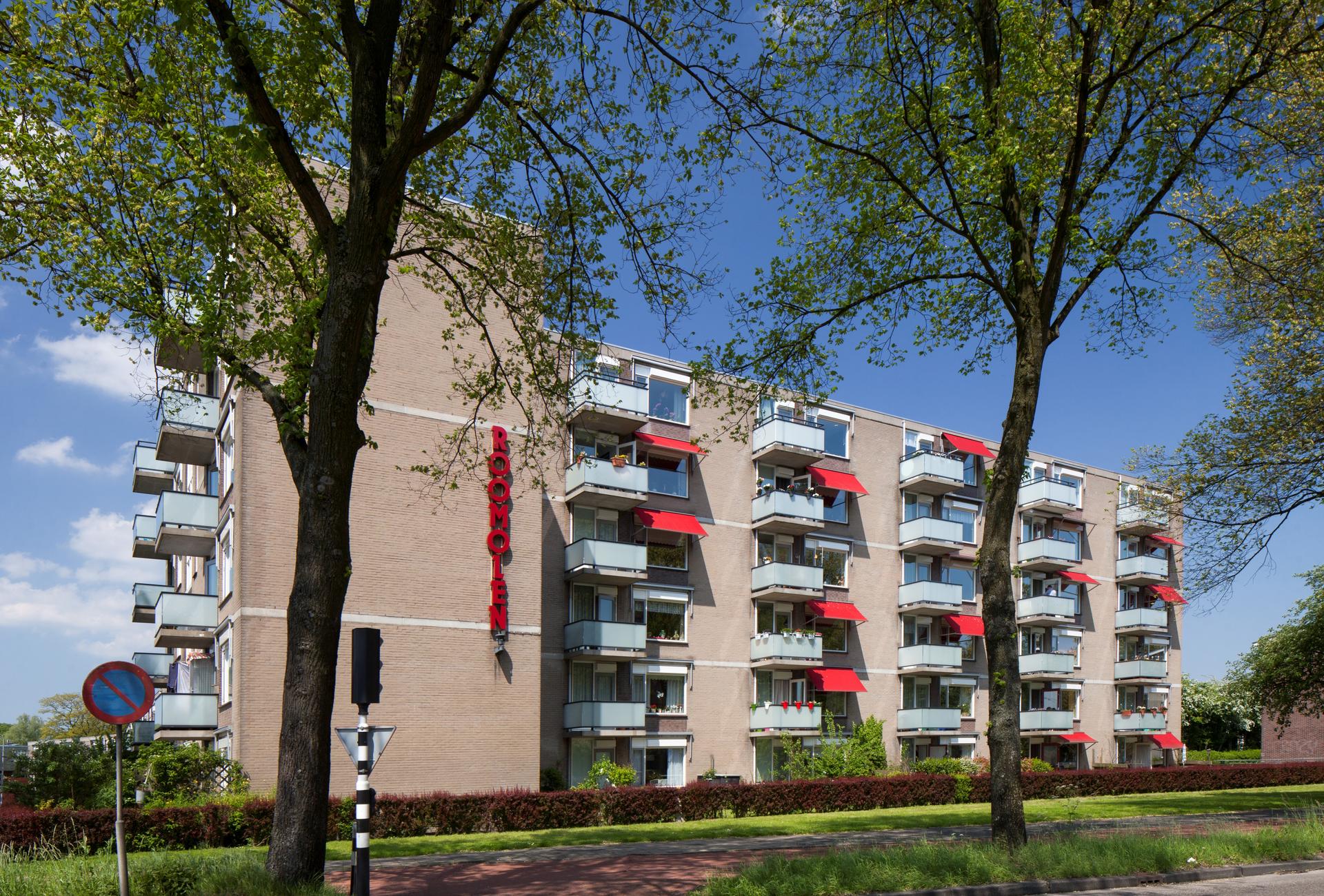 Roomolen - Haarlem (3)