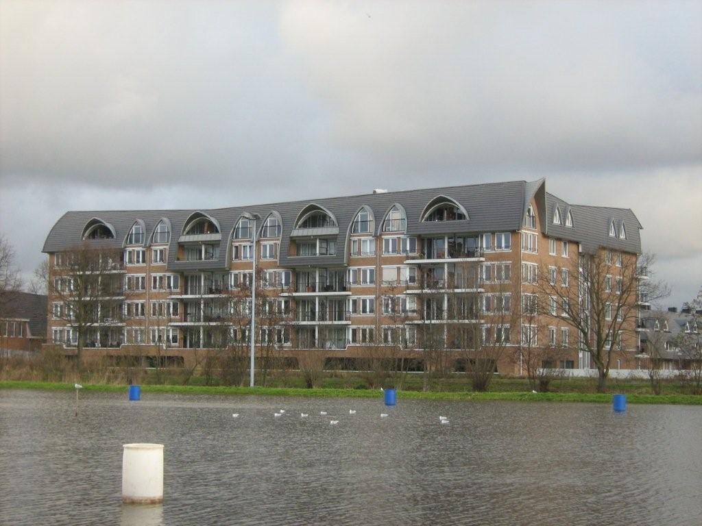 Clivia- Voorschoten