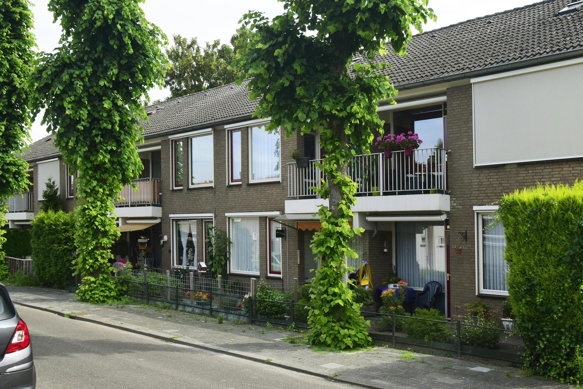 Leyeburgh III - Tilburg (1)