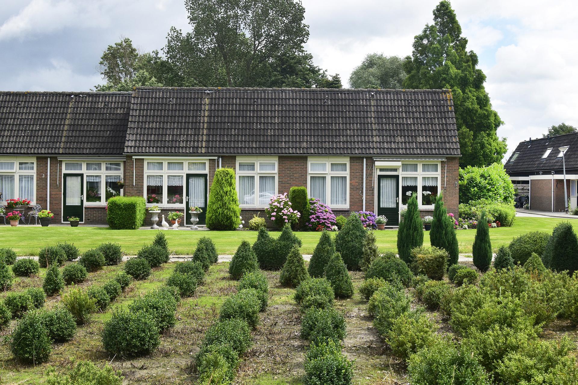 Menterne - Wagenborgen